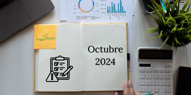 Reporte de Octubre 2024