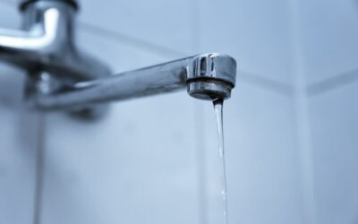 Deudores de Excedente de Agua 1er trimestre 2026